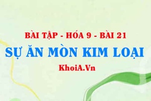 Bài tập Sự ăn mòn Kim loại: Giải bài 1, 2, 3, 4, 5 trang 67 SGK Hóa 9 bài 21